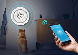 Smart WiFi Condo Alarm Kit - BAZZ Smart Home.ca