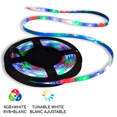 Bande lumineuse intelligente à DEL RVB Wi-Fi de 10 pi - BAZZ Smart Home.ca