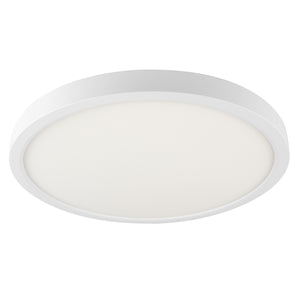 14" Smart WiFi White RGBW Tunable Utility Ceiling Light - BAZZ Smart Home.ca